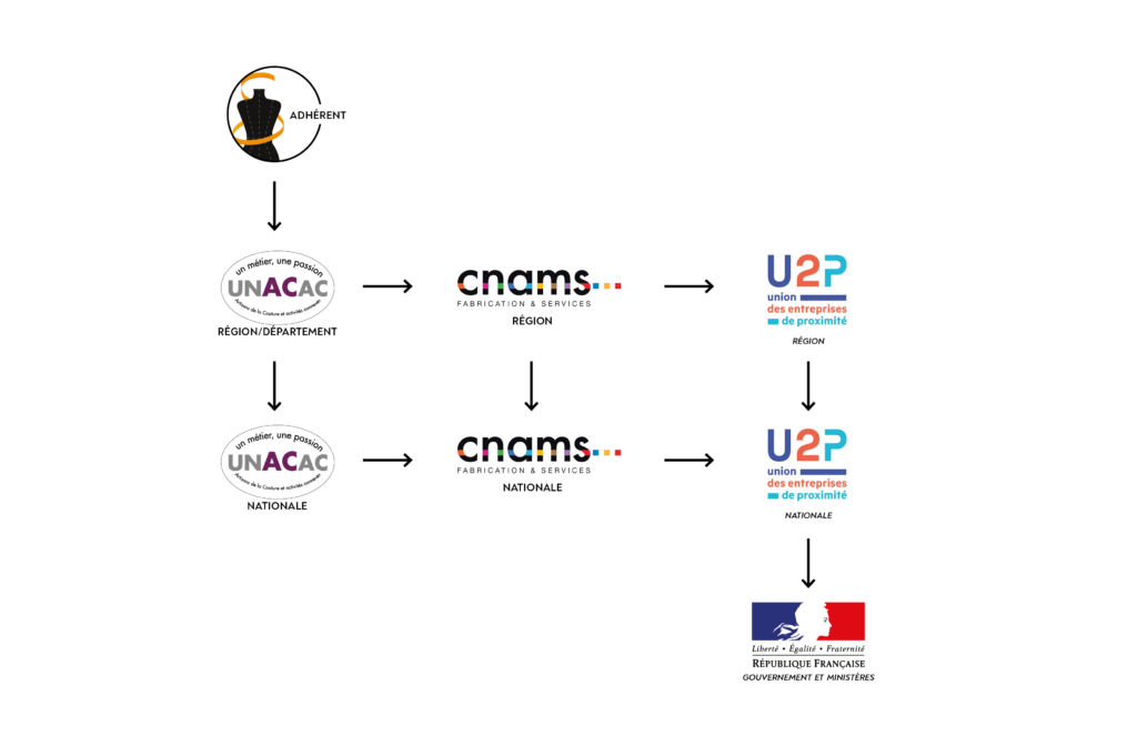 Organigramme - v1.7